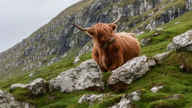 1000 Miles of Scotland 2022