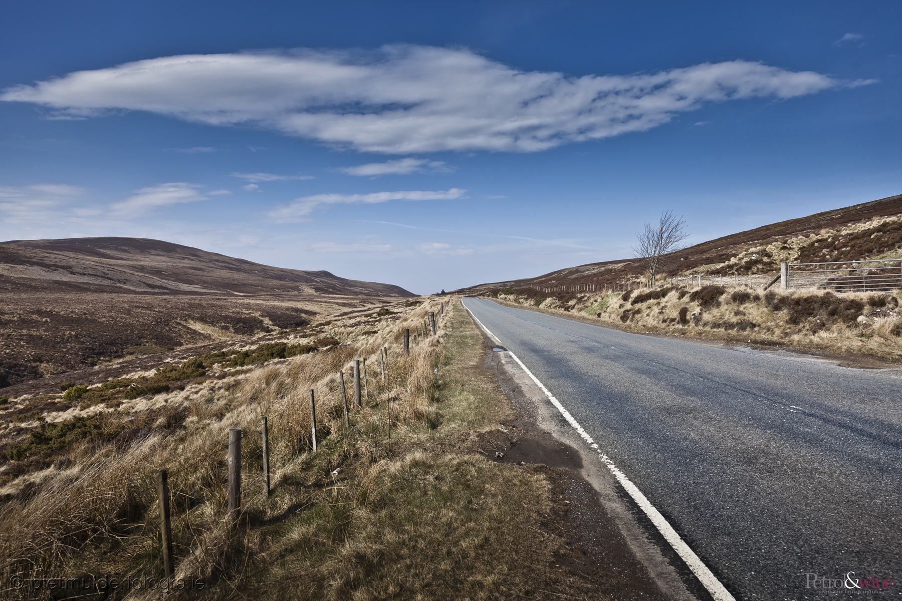 PW-Scotland-2017-51